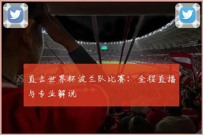 直击世界杯波兰队比赛:全程直播与专业解说