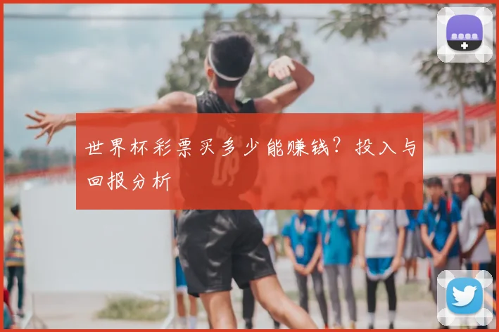 世界杯彩票买多少能赚钱?投入与回报分析