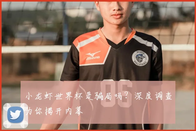 小龙虾世界杯是骗局吗?深度调查为你揭开内幕