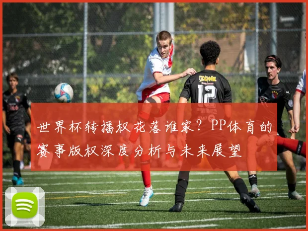 世界杯转播权花落谁家?PP体育的赛事版权深度分析与未来展望