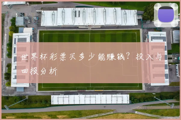 世界杯彩票买多少能赚钱?投入与回报分析