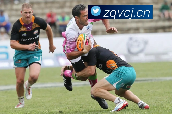 leyu乐鱼APP 封面图